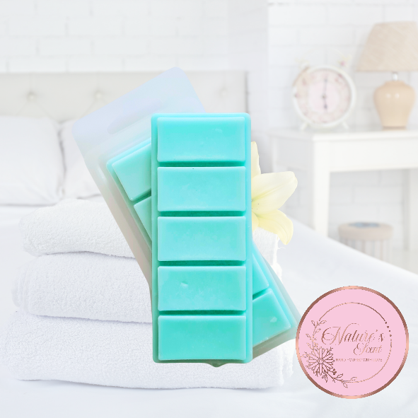 Lenny Freshness Wax Melt Snap Bar