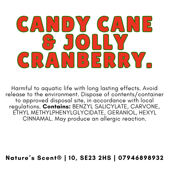 ✨ Christmas Wax Melt Collection – Nature’s Scent® ✨