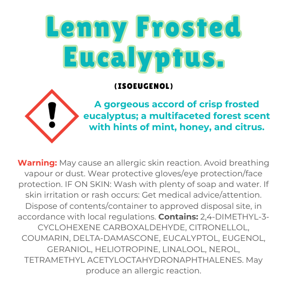 Lenny Frosty Eucalyptus Wax Melt Snap Bar
