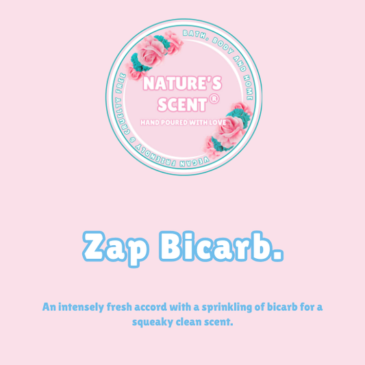 Zap Bicarb Wax Melt Snap bar