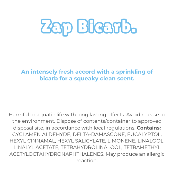 Zap Bicarb Wax Melt Snap bar