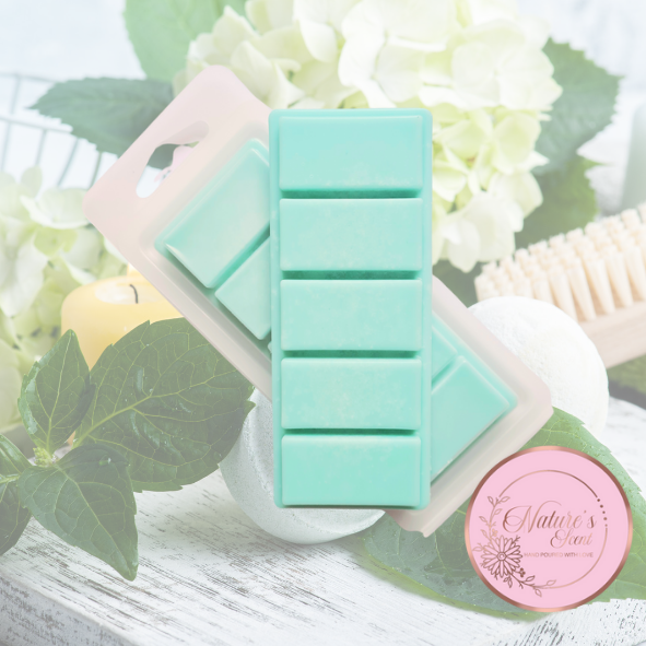 Citrus Soak Wax Melt Snap Bar