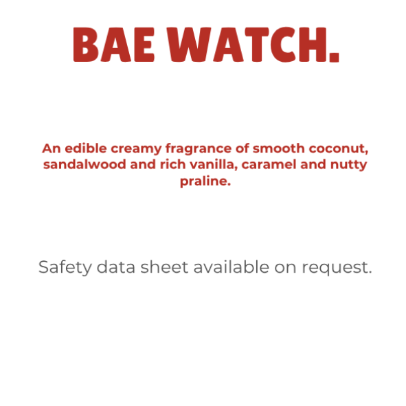 Bae Watch Wax Melt Snap Bar