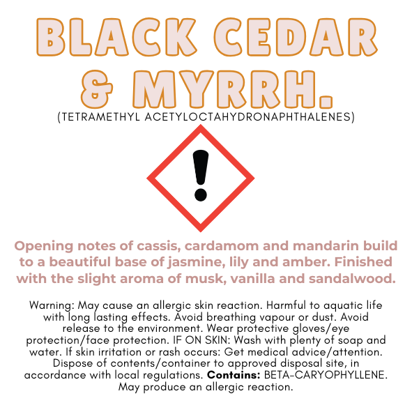 ✨ Christmas Wax Melt Collection – Nature’s Scent® ✨