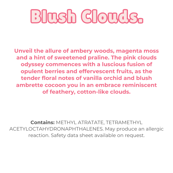 Blush Clouds Wax Melt Snap Bar