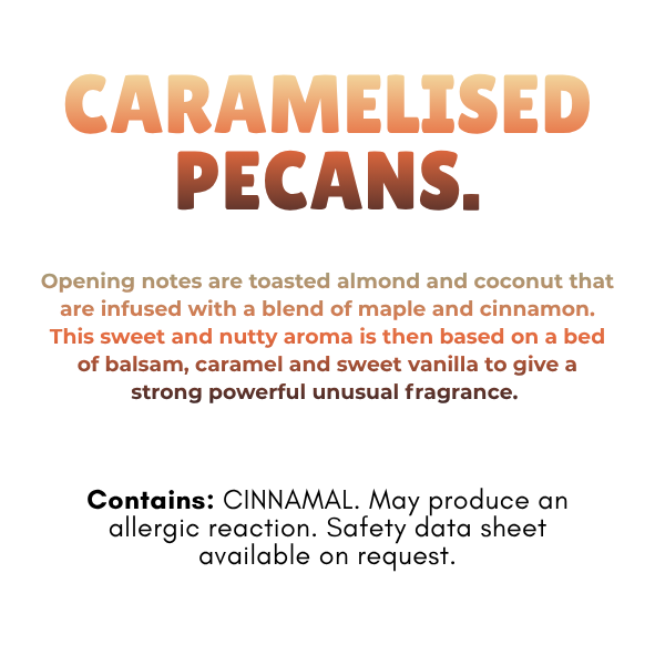 The Autumn Comforts Wax Melt Collection - Warm, Spicy and Cosy