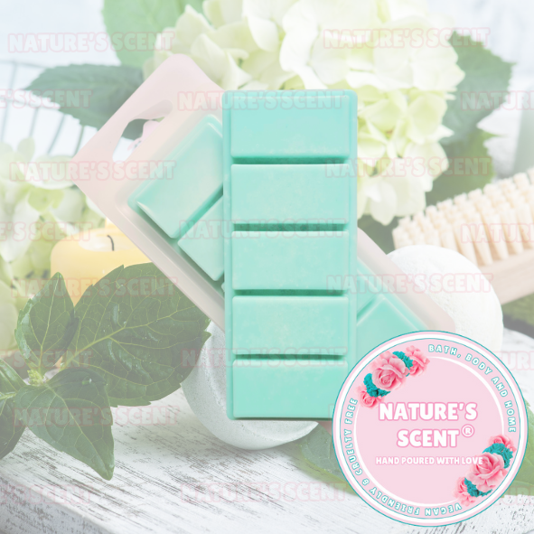 Citrus Soak Wax Melt Snap Bar