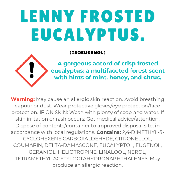 Lenny Frosty Eucalyptus Wax Melt Snap Bar