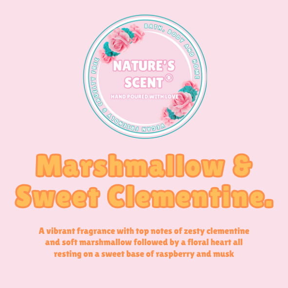 Marshmallow & Sweet Clementine Wax Melt Snap Bar