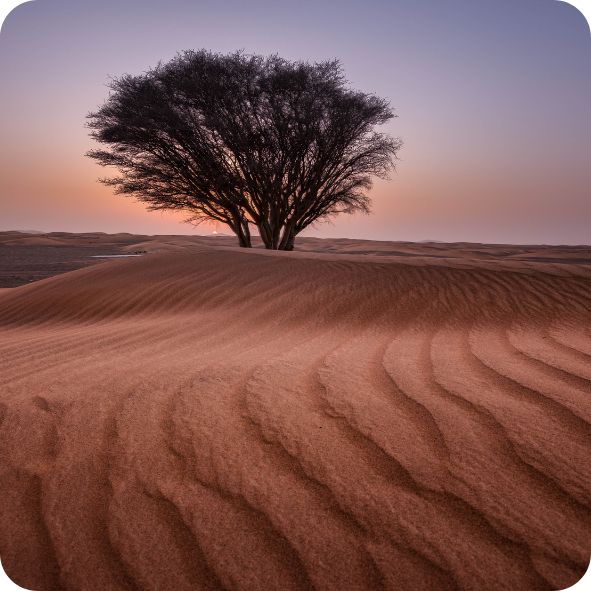 Oud & Oriental Wax Melt Collection | Luxury Middle Eastern Inspired Scents