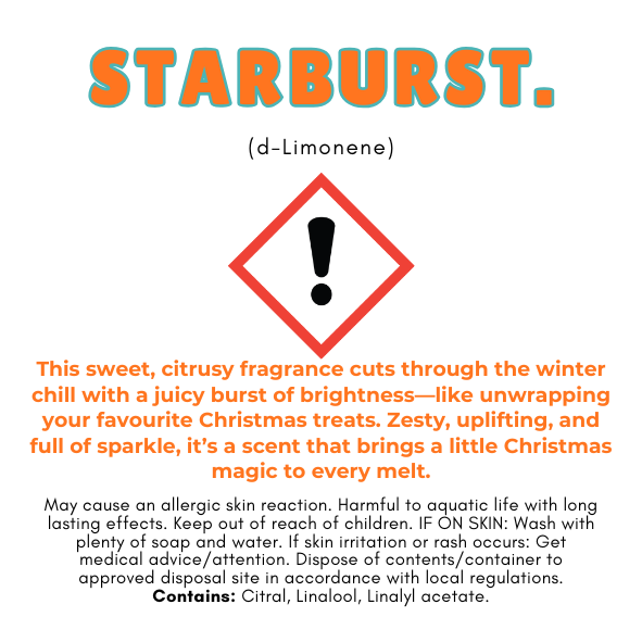 ✨ Christmas Wax Melt Collection – Nature’s Scent® ✨