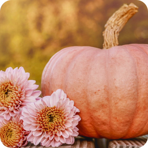 The Autumn Comforts Wax Melt Collection - Warm, Spicy and Cosy