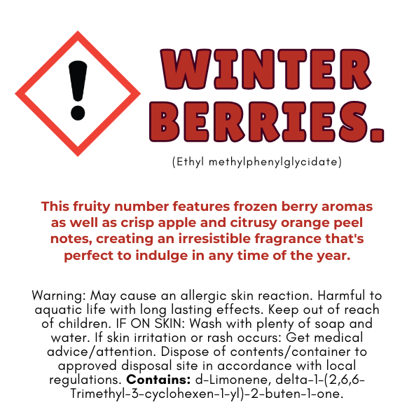 ✨ Christmas Wax Melt Collection – Nature’s Scent® ✨