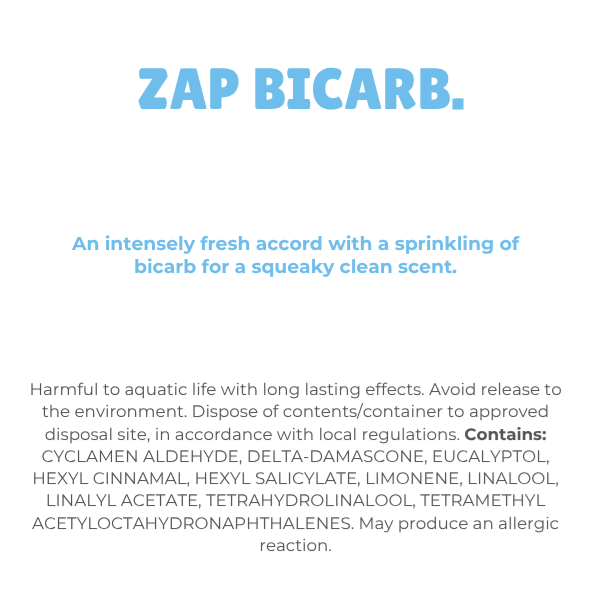 Zap Bicarb Wax Melt Snap bar