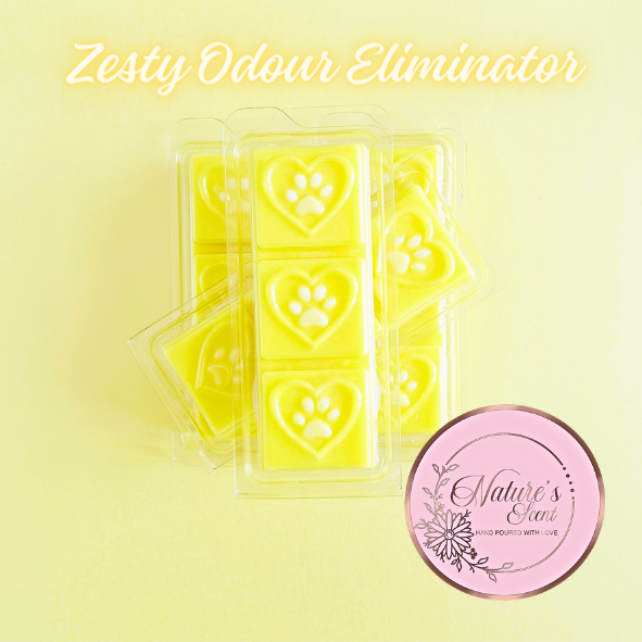 Zesty Odour Eliminator Wax Melt Snap Bar - [product type] - Nature's Scent®