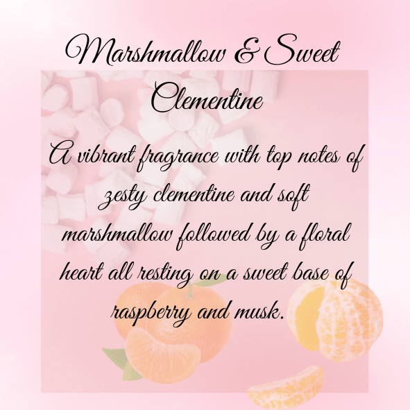 Marshmallow & Sweet Clementine Wax Melt Snap Bar - [product type] - Nature's Scent®