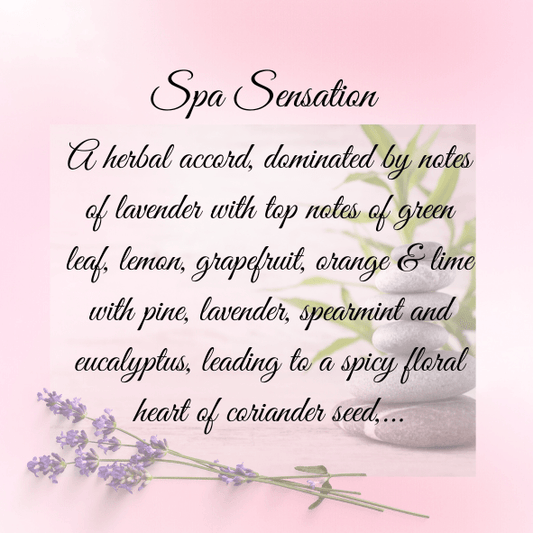 Spa Sensation Wax Melt Snap Bar - [product type] - Nature's Scent®